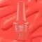 Bottle with swatch