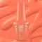 Bottle with swatch
